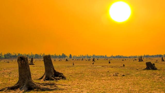 COP26: İklim zirvesine karşın, 'dünya 2,4 derecelik bir artışa doğru gidiyor'